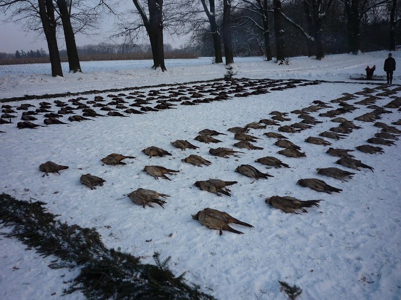 hon_konopiste (98).jpg